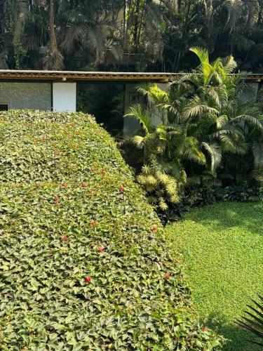 Κήπος έξω από το Su Casa- Luxury 3 bhk with pool near Candolim