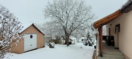 a snow covered yard with a house and a tree at Gárdonyi Ház in Sály