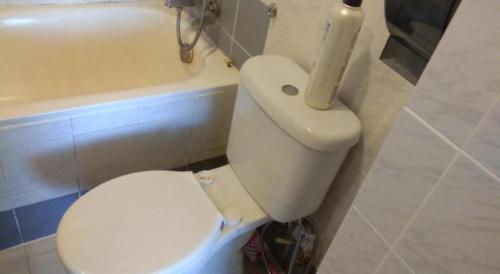 a bathroom with a white toilet and a bath tub at OYO Home 90533 Nomadic Town Condo in Melaka