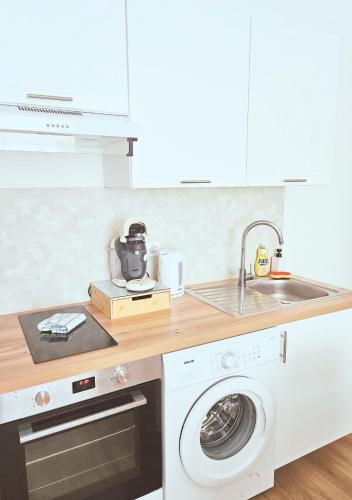 une cuisine avec un évier et une machine à laver dans l'établissement Le Castle, à Fougères