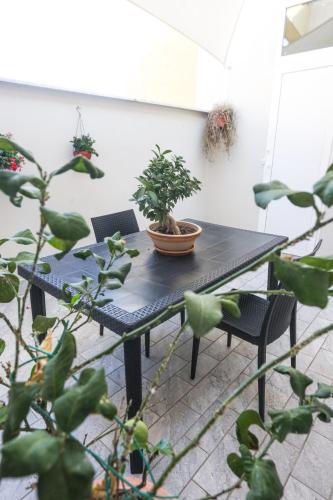 a black table with a potted plant on it at 49 Downtown Pompeii in Pompei