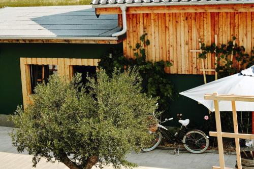 Cykling ved Ferienwohnungen am Scharmützelsee eller i nærheden