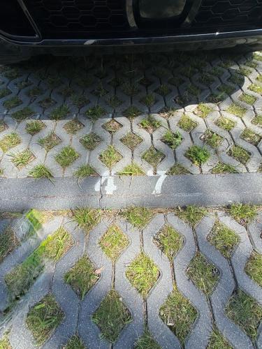 a sidewalk with grass growing in the middle of it at Vanagupes 45 in Pakopi