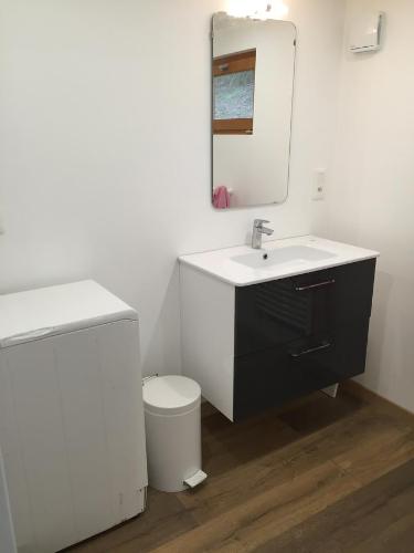 une salle de bain avec un lavabo, des toilettes et un miroir dans l'établissement Le Chalet des Perrieres, à Saint-Raphaël