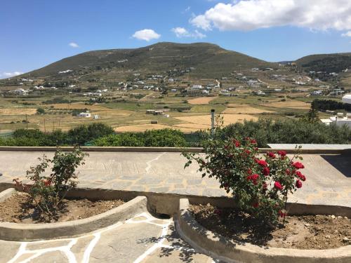 a bench with flowers on it with a mountain in the background at Kirki Rooms on the Hill in Parikia