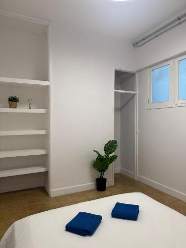 Las Palmas Nest Hostel