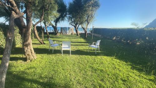 two white chairs sitting in the grass next to a tree at La Porta sul Mare in Terracina