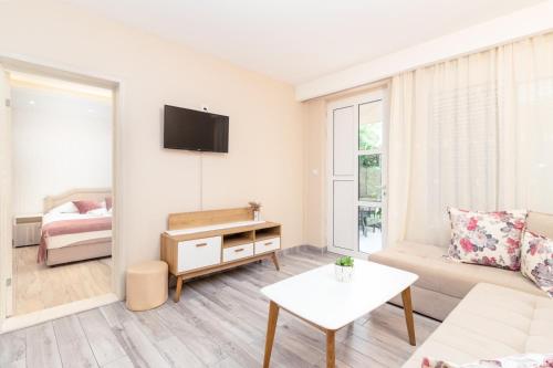 Televizorius ir (arba) pramogų centras apgyvendinimo įstaigoje Apartments Ada Bojana