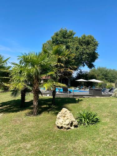 un parc avec un palmier et une piscine dans l'établissement Domaine de La Méniguère, à Saint-Gein