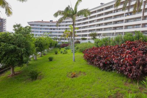 BiBel Apartment