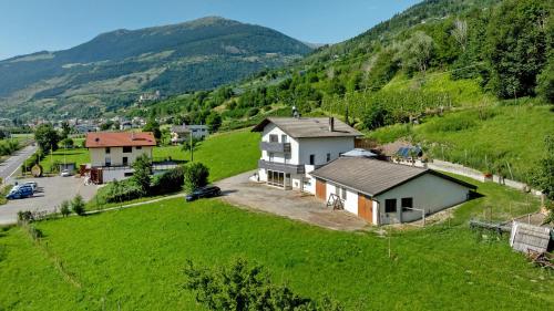 Příroda nedaleko apartmánu