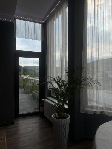a bedroom with a window with a potted plant at Casa Ardeleanului 2 in Vaduri