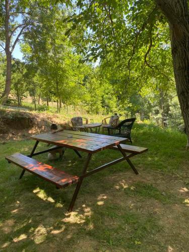 a picnic table and bench under a tree at Apartman Vera 