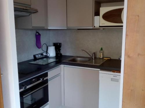 une cuisine avec un évier et un plan de travail dans l'établissement Appartement cosy au Chinaillon, proche commerces et pistes, 4 pers, animaux admis. - FR-1-467-69, au Grand-Bornand
