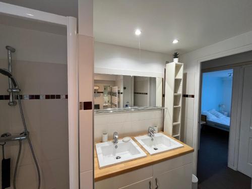 a bathroom with a sink and a mirror at Maison familiale à Arcachon avec climatisation - FR-1-319-420 in Arcachon