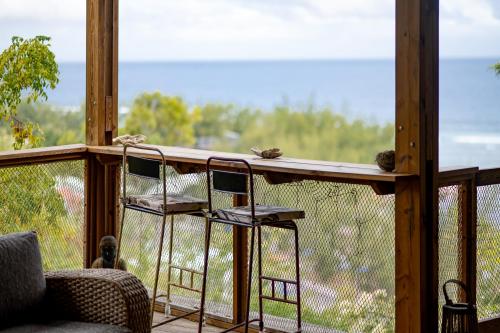 two chairs on a screened in porch with birds on it at Lodge Nature in Saint-Leu