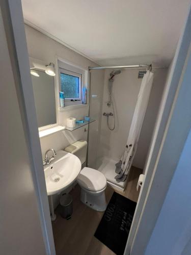 a small bathroom with a toilet and a sink at Tiny house in bos bij Veluwezoom rust en comfort in Hattemerbroek