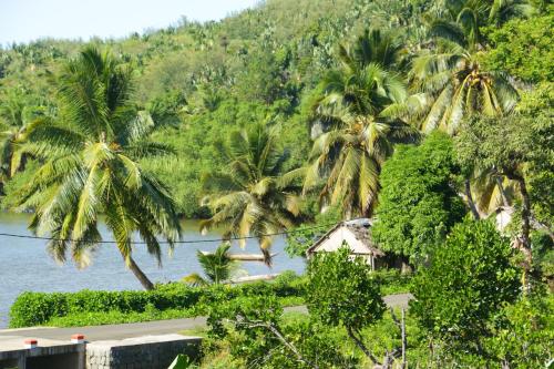 a view of a river with palm trees and a house at Hotel Nautile in Sainte Marie
