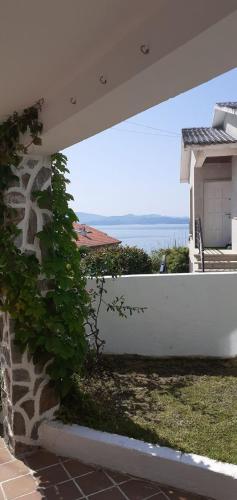 La Cruz del Sur - "CIES"