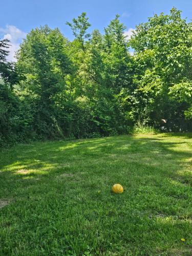 a yellow object on the grass in a field at Căsuțele bucuriei in Pucioasa