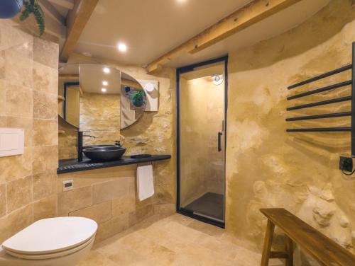 une salle de bain avec toilettes et douche dans l'établissement Toujours Dimanche Windmill Retreat, à Loubès-Bernac