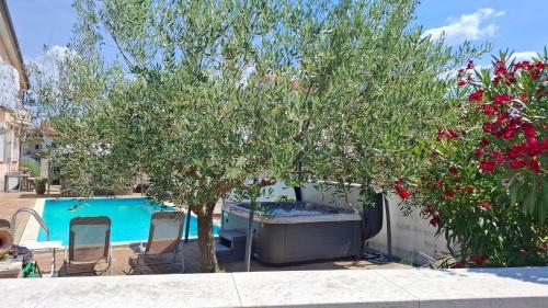 a tree and chairs next to a swimming pool at Apartments Kimm's Hideaway in Poreč