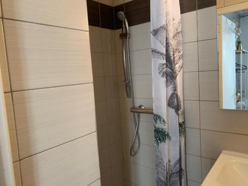 a shower in a bathroom with a shower curtain at Charmant studio cosy à 5 min du centre d'Épernay in Épernay