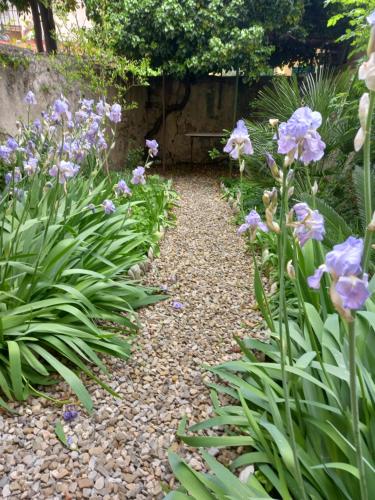 En have udenfor la ginella la casa vintage