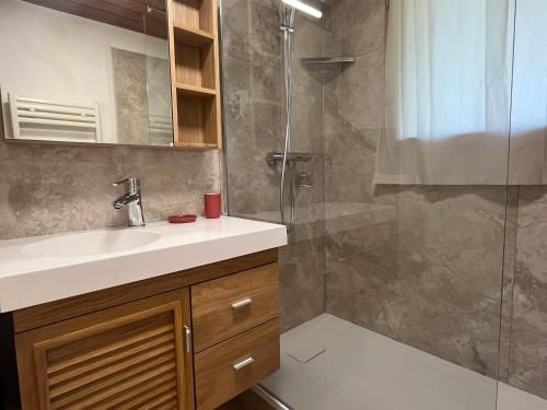 une salle de bain avec un lavabo et une douche dans l'établissement Charmant 2 pièces ensoleillé avec balcon, près des pistes et centre, parking inclus - FR-1-464-199, à Pralognan-la-Vanoise