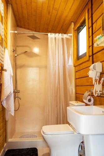 a bathroom with a shower and a toilet and a sink at Cottage Mountain crystal kazbegi in Kazbegi