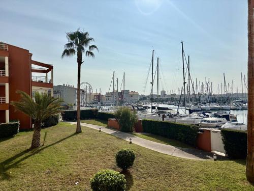 Studio centre Cap d'Agde avec parking privé - FR-1-723-25