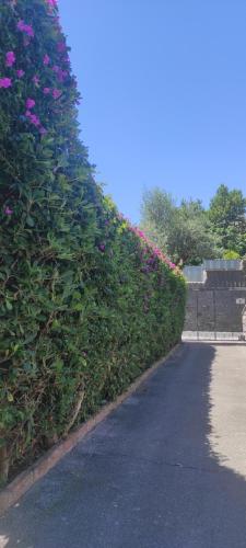 CAPERCIA home photo 2