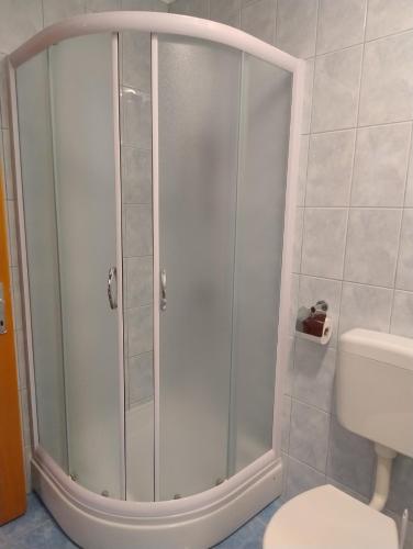 a shower with a glass door in a bathroom at Planika Apartments 2 in Korčula