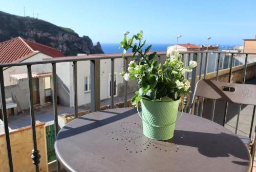 a potted plant sitting on a table on a balcony at Buggerru Sunset Home in Buggerru
