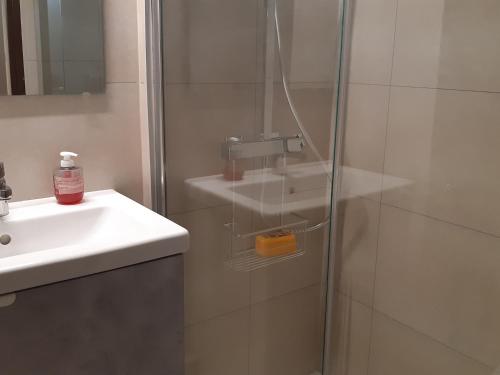 une salle de bain avec une douche avec un lavabo et une douche dans l'établissement Studio Cabine pour 4 à Port Leucate avec TV, Lave-linge et Grand Frigo - FR-1-798-38, à Leucate