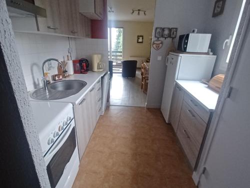 une petite cuisine avec un évier et un réfrigérateur dans l'établissement Studio calme avec parking et vue sur Monts du Cantal - FR-1-814-125, à Besse-et-Saint-Anastaise