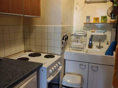 a small kitchen with a stove and a sink at Studio confortable au pied des pistes avec terrasse - FR-1-804-55 in Enchastrayes