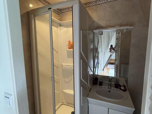 ein Badezimmer mit Dusche und Waschbecken in der Unterkunft Appartement atypique sous les toits avec parking - FR-1-712-95 in Villers-sur-Mer