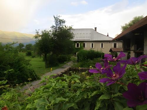 a garden with purple flowers in front of a house at Gite Sources D'Arvey in Verrens-Arvey