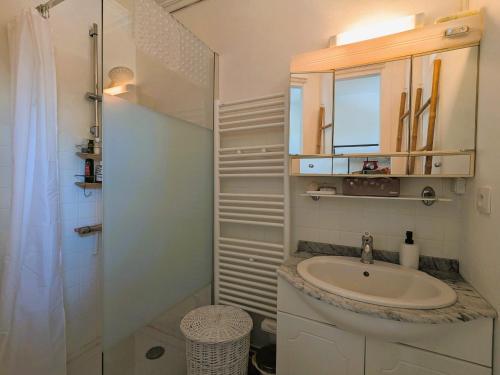 une salle de bain avec un lavabo, un miroir et une douche dans l'établissement Studio Charmant Proche Plage pour 2 Pers avec Parking - FR-1-420-159, à Arcachon