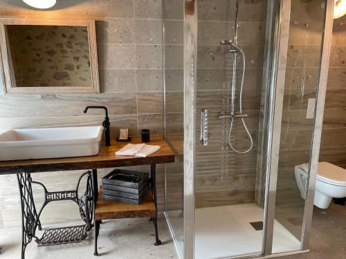 un bagno con lavandino e doccia di Maison d'hôtes familiale près de La Flèche, animaux acceptés - FR-1-410-476 a Cré-sur-Loir