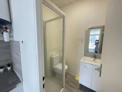 une salle de bain avec une douche, des toilettes et un lavabo dans l'établissement Studio 2 personnes accès direct plage - FR-1-197-624, à Les Sables-dʼOlonne