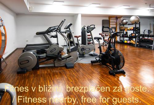 a gym with a bunch of exercise bikes in a room at Forgotten Garden Villa in Portorož