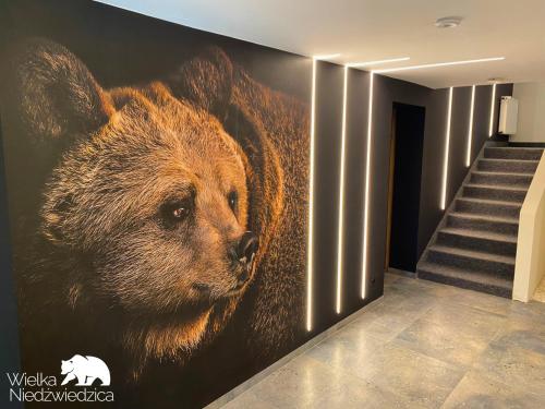 Fotografie z fotogalerie ubytování Wielka Niedźwiedzica ve Visle
