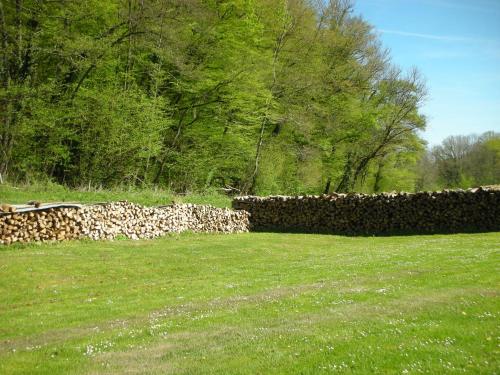a stone wall in a field next to trees at Gîte paisible dans forêts avec vélos et randonnées, animaux admis - FR-1-583-503 in Montigny-les Cherlieux