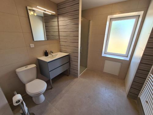 a bathroom with a toilet and a sink and a window at Deux gîtes charmants près d'Orléans avec jardin et parking privatif - FR-1-590-577 