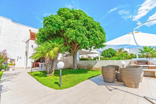 patio z drzewem, stołem i krzesłami w obiekcie Villa di Lusso sul Mare a Diamante - Villa Ventre w mieście Belvedere Marittimo