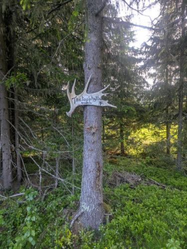 a sign on a tree in a forest at Tretopphytta Kraggbua in Snerta