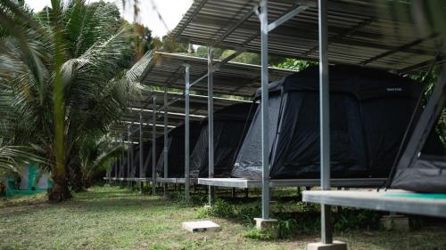 Taman di luar Mellow Camp kohkood