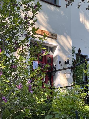 a white building with a red door and some flowers at Pension Villa Pangea in Bad Lauterberg
